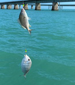 A day on the water