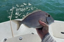 A day on the water